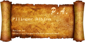 Pilinger Albina névjegykártya